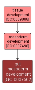 GO:0007502 - gut mesoderm development (interactive image map)