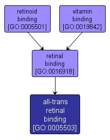 GO:0005503 - all-trans retinal binding (interactive image map)