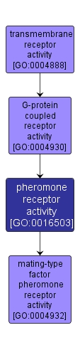 GO:0016503 - pheromone receptor activity (interactive image map)