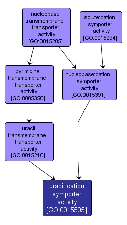 GO:0015505 - uracil:cation symporter activity (interactive image map)