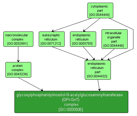 GO:0000506 - glycosylphosphatidylinositol-N-acetylglucosaminyltransferase (GPI-GnT) complex (interactive image map)