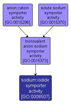 GO:0008507 - sodium:iodide symporter activity (interactive image map)