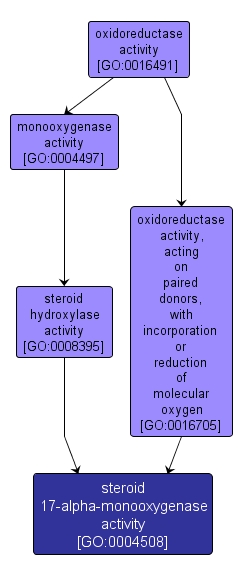 GO:0004508 - steroid 17-alpha-monooxygenase activity (interactive image map)