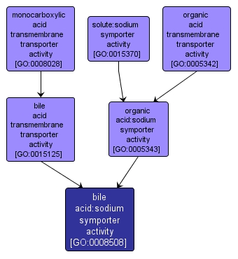 GO:0008508 - bile acid:sodium symporter activity (interactive image map)