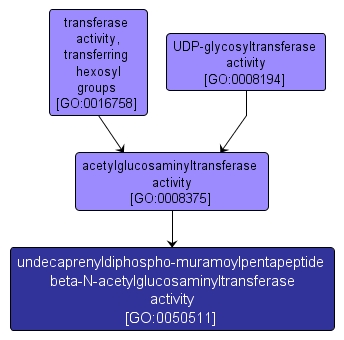 GO:0050511 - undecaprenyldiphospho-muramoylpentapeptide beta-N-acetylglucosaminyltransferase activity (interactive image map)