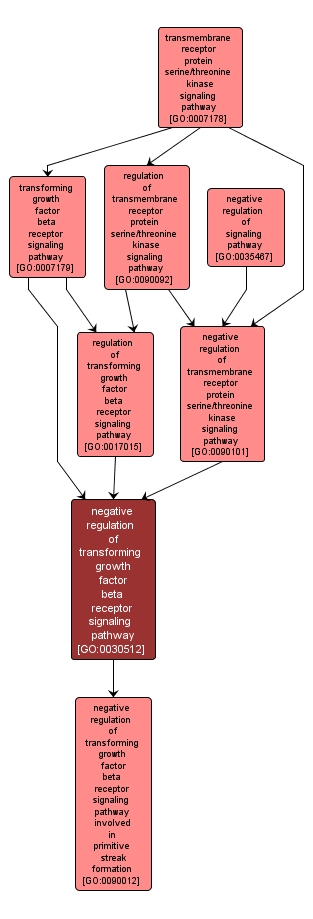 GO:0030512 - negative regulation of transforming growth factor beta receptor signaling pathway (interactive image map)