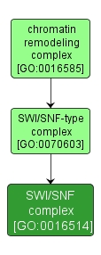 GO:0016514 - SWI/SNF complex (interactive image map)