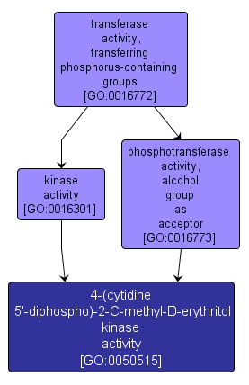 GO:0050515 - 4-(cytidine 5'-diphospho)-2-C-methyl-D-erythritol kinase activity (interactive image map)