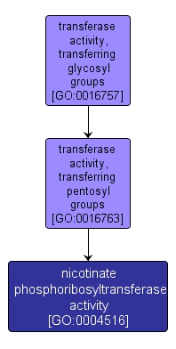 GO:0004516 - nicotinate phosphoribosyltransferase activity (interactive image map)