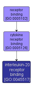 GO:0045517 - interleukin-20 receptor binding (interactive image map)