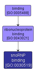 GO:0030519 - snoRNP binding (interactive image map)