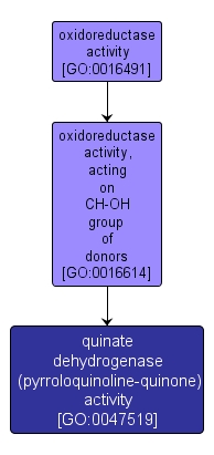 GO:0047519 - quinate dehydrogenase (pyrroloquinoline-quinone) activity (interactive image map)