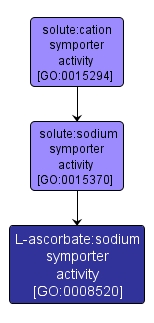 GO:0008520 - L-ascorbate:sodium symporter activity (interactive image map)