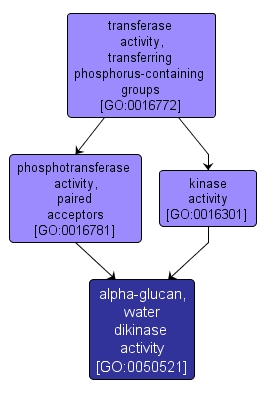 GO:0050521 - alpha-glucan, water dikinase activity (interactive image map)