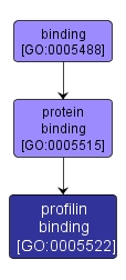 GO:0005522 - profilin binding (interactive image map)