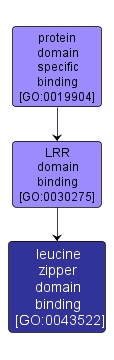 GO:0043522 - leucine zipper domain binding (interactive image map)