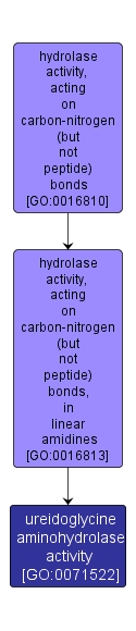 GO:0071522 - ureidoglycine aminohydrolase activity (interactive image map)