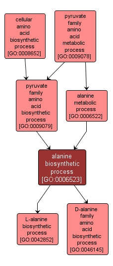GO:0006523 - alanine biosynthetic process (interactive image map)