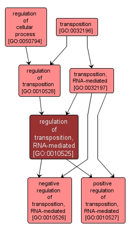 GO:0010525 - regulation of transposition, RNA-mediated (interactive image map)