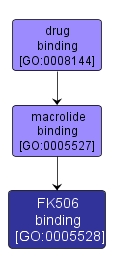 GO:0005528 - FK506 binding (interactive image map)