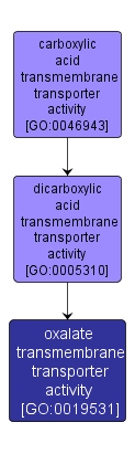 GO:0019531 - oxalate transmembrane transporter activity (interactive image map)