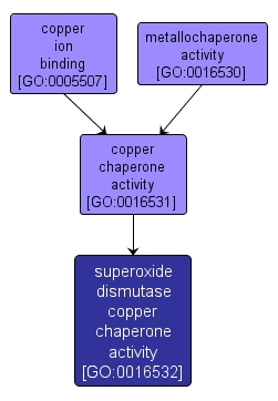 GO:0016532 - superoxide dismutase copper chaperone activity (interactive image map)
