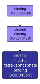 GO:0043533 - inositol 1,3,4,5 tetrakisphosphate binding (interactive image map)