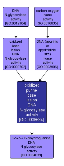 GO:0008534 - oxidized purine base lesion DNA N-glycosylase activity (interactive image map)