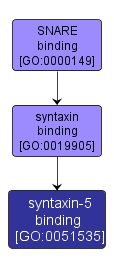 GO:0051535 - syntaxin-5 binding (interactive image map)