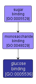 GO:0005536 - glucose binding (interactive image map)