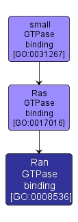 GO:0008536 - Ran GTPase binding (interactive image map)
