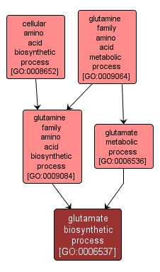 GO:0006537 - glutamate biosynthetic process (interactive image map)