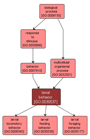 GO:0030537 - larval behavior (interactive image map)