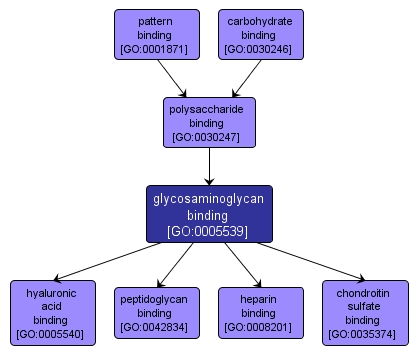 GO:0005539 - glycosaminoglycan binding (interactive image map)