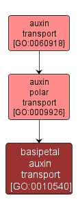 GO:0010540 - basipetal auxin transport (interactive image map)