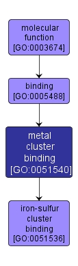 GO:0051540 - metal cluster binding (interactive image map)