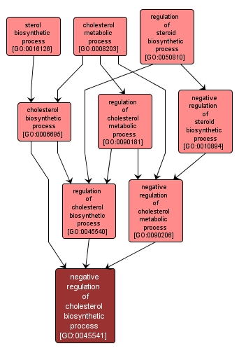 GO:0045541 - negative regulation of cholesterol biosynthetic process (interactive image map)
