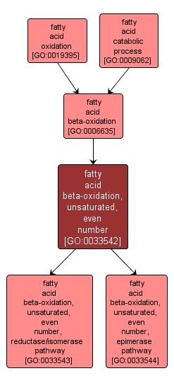 GO:0033542 - fatty acid beta-oxidation, unsaturated, even number (interactive image map)