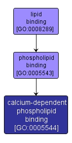 GO:0005544 - calcium-dependent phospholipid binding (interactive image map)
