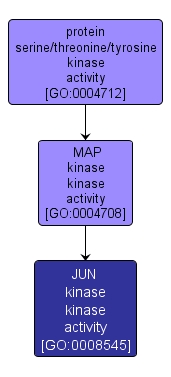 GO:0008545 - JUN kinase kinase activity (interactive image map)