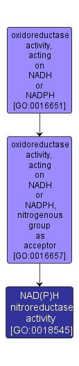 GO:0018545 - NAD(P)H nitroreductase activity (interactive image map)