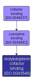 GO:0043546 - molybdopterin cofactor binding (interactive image map)