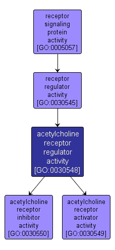 GO:0030548 - acetylcholine receptor regulator activity (interactive image map)