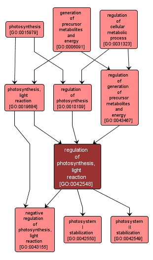 GO:0042548 - regulation of photosynthesis, light reaction (interactive image map)