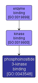GO:0043548 - phosphoinositide 3-kinase binding (interactive image map)