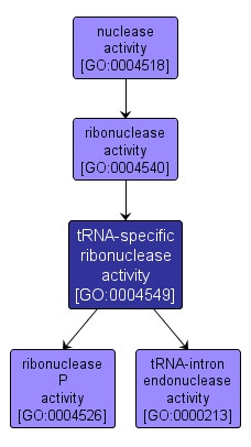 GO:0004549 - tRNA-specific ribonuclease activity (interactive image map)