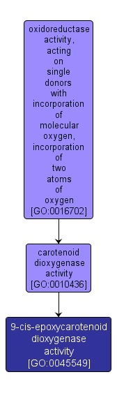 GO:0045549 - 9-cis-epoxycarotenoid dioxygenase activity (interactive image map)