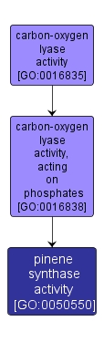 GO:0050550 - pinene synthase activity (interactive image map)