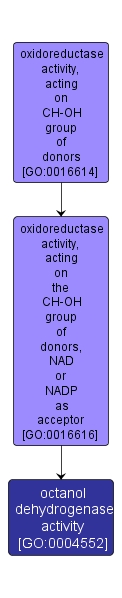 GO:0004552 - octanol dehydrogenase activity (interactive image map)