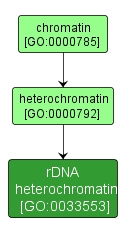GO:0033553 - rDNA heterochromatin (interactive image map)